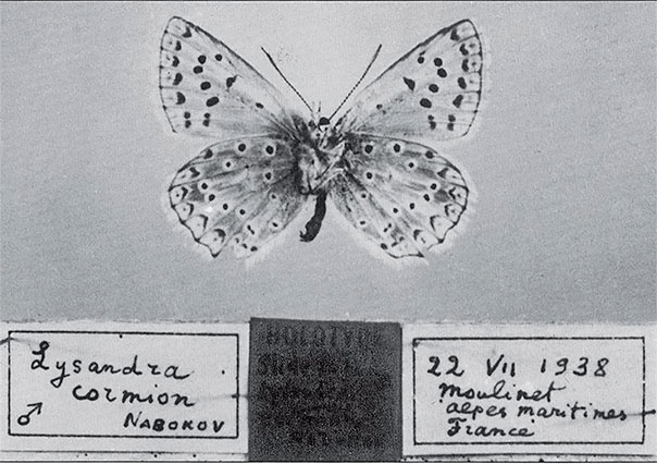 Иллюстрация к книге — Волшебник. Набоков и счастье [autogen_ebook_id2.jpg]