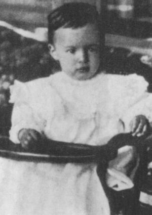 Иллюстрация к книге — Набоков [i_020.jpg]