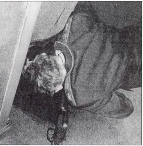 Иллюстрация к книге — Михаил Горбачев: Жизнь до Кремля [image56.jpg]