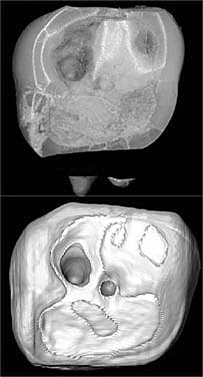 Иллюстрация к книге — Из истории зубоврачевания, или Кто лечит зубы монархам [i_001.jpg]