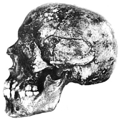 Иллюстрация к книге — Из истории зубоврачевания, или Кто лечит зубы монархам [i_100.jpg]