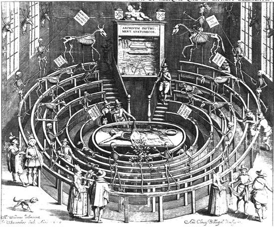 Иллюстрация к книге — Из истории зубоврачевания, или Кто лечит зубы монархам [i_135.jpg]