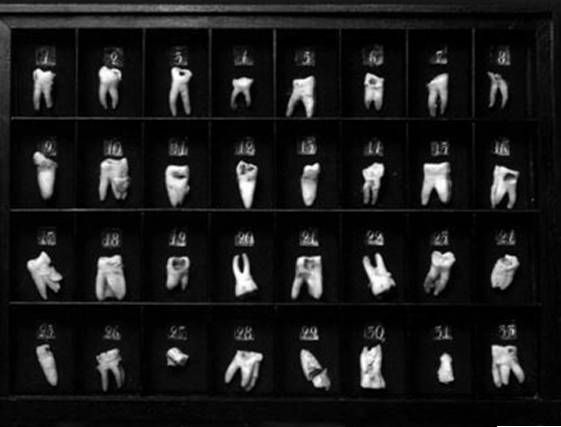 Иллюстрация к книге — Из истории зубоврачевания, или Кто лечит зубы монархам [i_142.jpg]