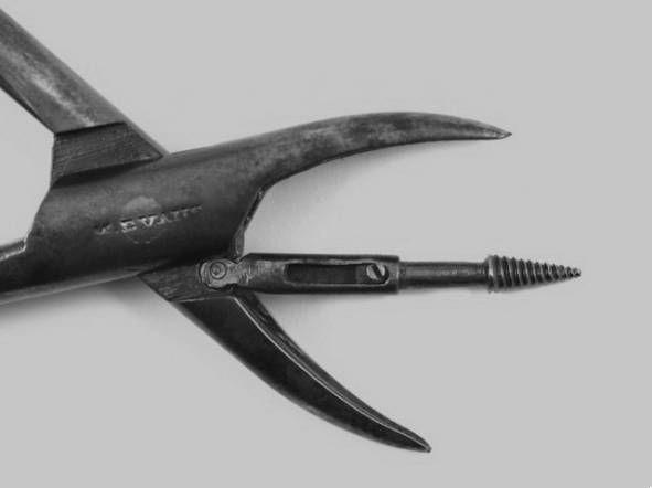 Иллюстрация к книге — Из истории зубоврачевания, или Кто лечит зубы монархам [i_227.jpg]