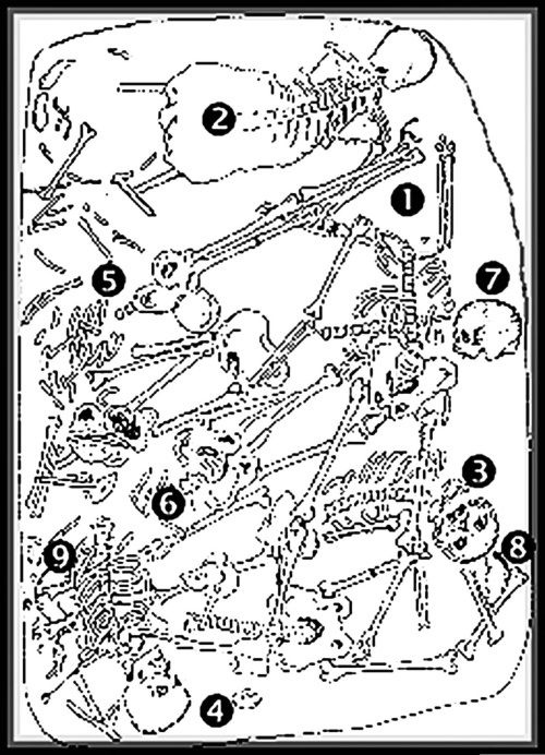 Иллюстрация к книге — Из истории зубоврачевания, или Кто лечит зубы монархам [i_288.jpg]