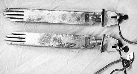 Иллюстрация к книге — Люди Зимнего дворца. Монаршие особы, их фавориты и слуги [i_300.jpg]