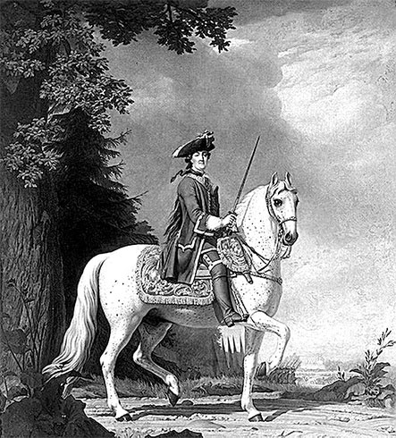 Иллюстрация к книге — Люди Зимнего дворца. Монаршие особы, их фавориты и слуги [i_475.jpg]