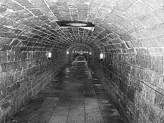 Иллюстрация к книге — Люди Зимнего дворца. Монаршие особы, их фавориты и слуги [i_504.jpg]