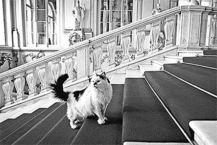 Иллюстрация к книге — Люди Зимнего дворца. Монаршие особы, их фавориты и слуги [i_516.jpg]