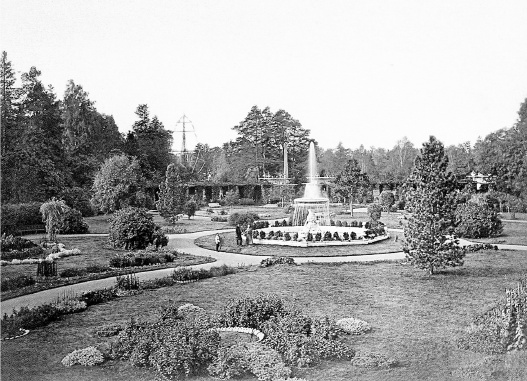 Иллюстрация к книге — Ахматова. Юные годы Царскосельской Музы [i_072.jpg]