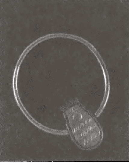 Иллюстрация к книге — Главный соперник Наполеона. Великий генерал Моро [i_020.jpg]