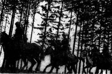 Иллюстрация к книге — "Долина смерти". Трагедия 2-й ударной армии [i_008.jpg]