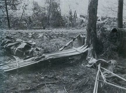 Иллюстрация к книге — "Долина смерти". Трагедия 2-й ударной армии [i_011.jpg]