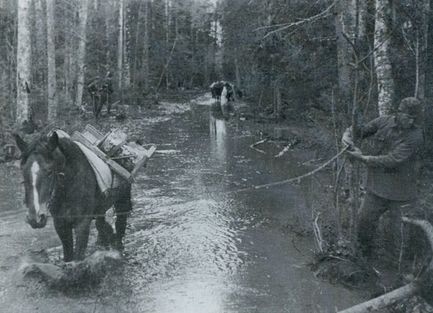 Иллюстрация к книге — "Долина смерти". Трагедия 2-й ударной армии [i_014.jpg]