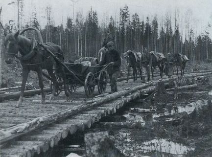 Иллюстрация к книге — "Долина смерти". Трагедия 2-й ударной армии [i_018.jpg]