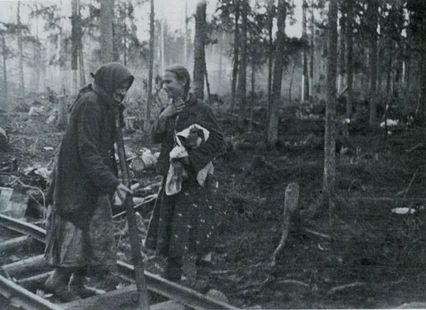 Иллюстрация к книге — "Долина смерти". Трагедия 2-й ударной армии [i_034.jpg]