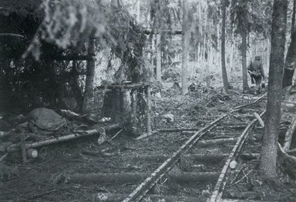 Иллюстрация к книге — "Долина смерти". Трагедия 2-й ударной армии [i_037.jpg]