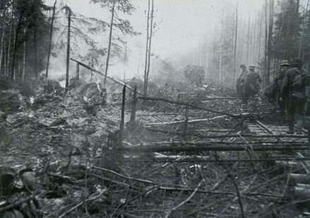 Иллюстрация к книге — "Долина смерти". Трагедия 2-й ударной армии [i_040.jpg]