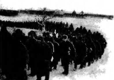 Иллюстрация к книге — "Долина смерти". Трагедия 2-й ударной армии [i_045.jpg]