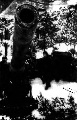 Иллюстрация к книге — "Долина смерти". Трагедия 2-й ударной армии [i_047.jpg]