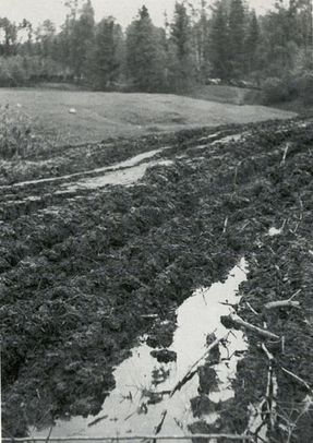 Иллюстрация к книге — "Долина смерти". Трагедия 2-й ударной армии [i_053.jpg]