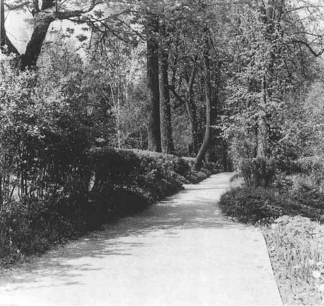 Иллюстрация к книге — Щепкин [i_053.jpg]