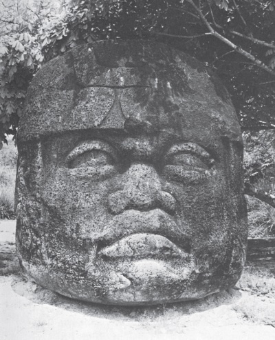 Иллюстрация к книге — Конкистадоры. История испанских завоеваний XV- XVI веков [i_022.jpg]