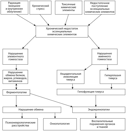 Иллюстрация к книге — Микроэлементы. Бодрость, здоровье, долголетие [i_024.jpg]