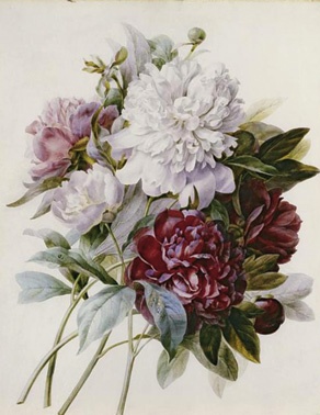 Иллюстрация к книге — Любовные похождения Джакомо Казановы [i_122.jpg]