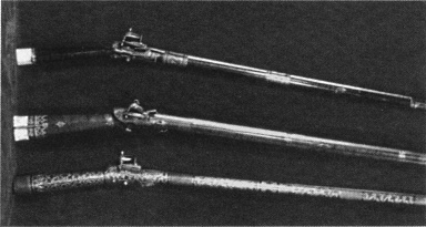 Иллюстрация к книге — Имам Шамиль [blkimg22.jpg]