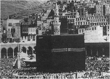 Иллюстрация к книге — Имам Шамиль [blkimg63.jpg]