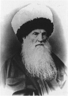 Иллюстрация к книге — Имам Шамиль [blkimg70.jpg]