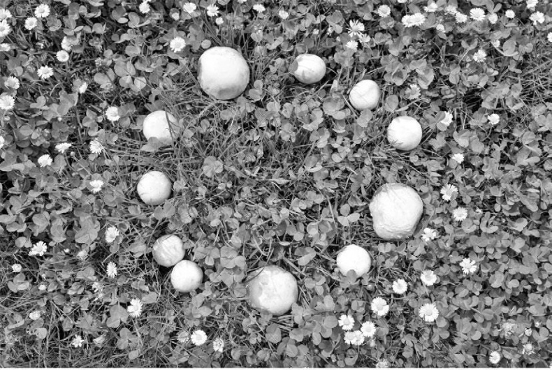 Иллюстрация к книге — Загадки Древней Руси [i_071.jpg]