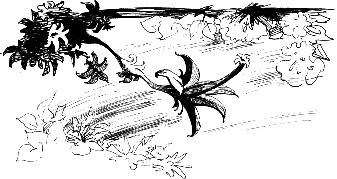 Иллюстрация к книге — Дети – другие. Саморазвитие. Части вторая и третья [_36.jpg]