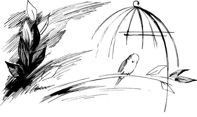 Иллюстрация к книге — Дети – другие. Взрослый как обвиняемый. Часть первая [_10.jpg]