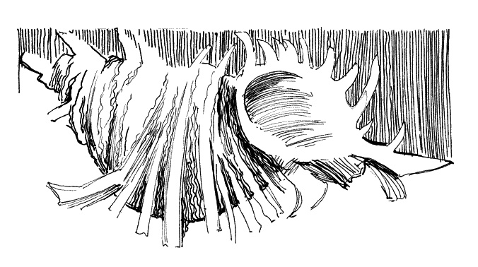 Иллюстрация к книге — Дети – другие. Взрослый как обвиняемый. Часть первая [_16.jpg]