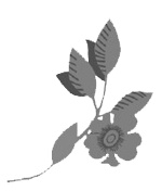 Иллюстрация к книге — Письма моей сестры [i_002.jpg]