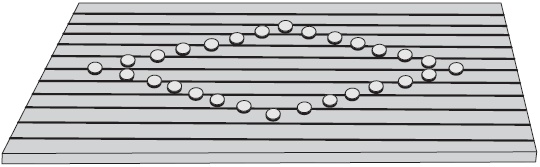 Иллюстрация к книге — Мой метод. Руководство по воспитанию детей от 3 до 6 лет [i_044.jpg]