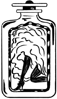 Иллюстрация к книге — Парфюм. История ароматов XX века [_10.jpg]