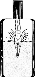 Иллюстрация к книге — Парфюм. История ароматов XX века [_90.jpg]