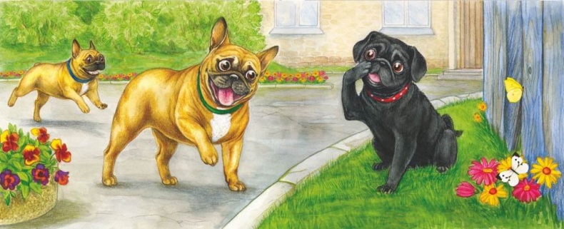 Иллюстрация к книге — Волшебный эликсир [i_008.jpg]