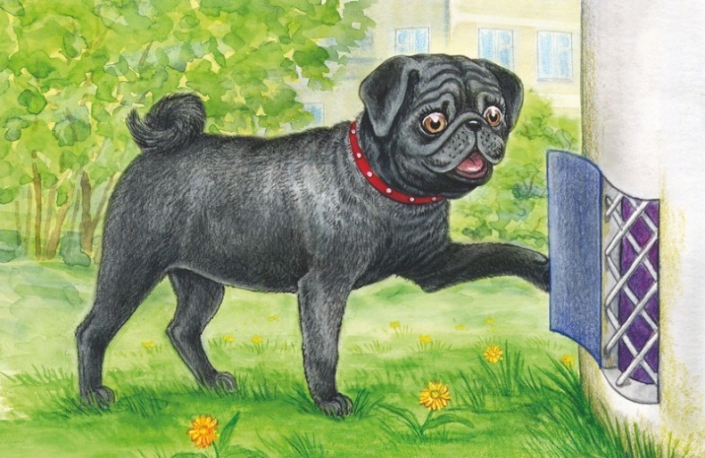 Иллюстрация к книге — Волшебный эликсир [i_009.jpg]