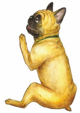 Иллюстрация к книге — Волшебный эликсир [i_011.jpg]