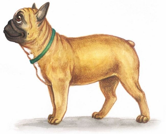 Иллюстрация к книге — Волшебный эликсир [i_013.jpg]