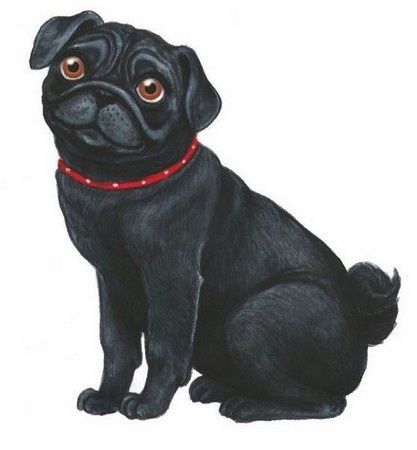 Иллюстрация к книге — Волшебный эликсир [i_016.jpg]