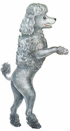 Иллюстрация к книге — Волшебный эликсир [i_025.jpg]