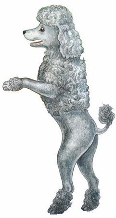 Иллюстрация к книге — Волшебный эликсир [i_033.jpg]