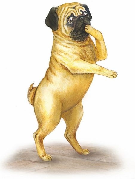 Иллюстрация к книге — Волшебный эликсир [i_038.jpg]