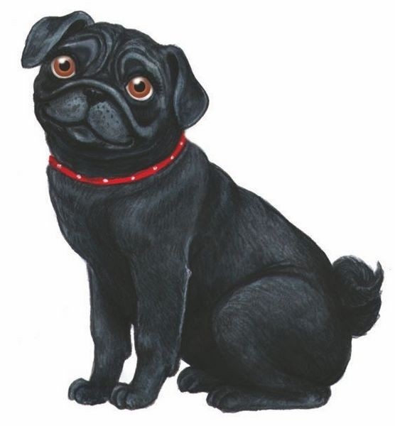 Иллюстрация к книге — Волшебный эликсир [i_045.jpg]