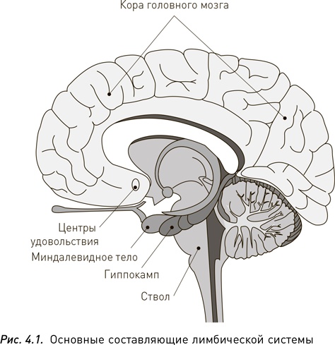 Иллюстрация к книге — Манифест инвестора. Готовимся к потрясениям, процветанию и всему остальному [i_027.jpg]